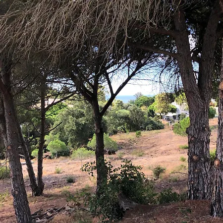 Pinetops Holidays 公寓 *